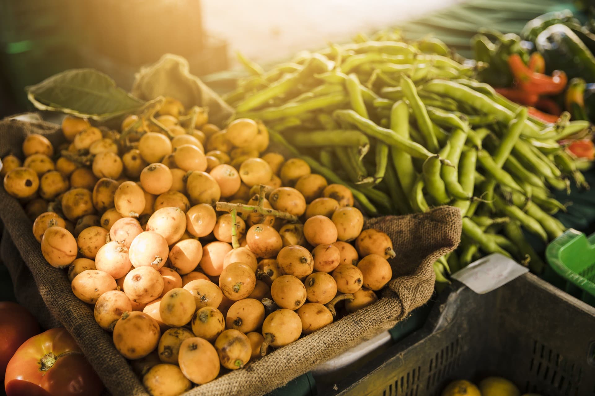 AgriData : quand l’IA rend les données agricoles accessibles en Afrique de l’Ouest