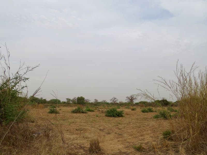 Saison des pluies 2026 : ce que les previsions nous disent pour l'Afrique de l'Ouest